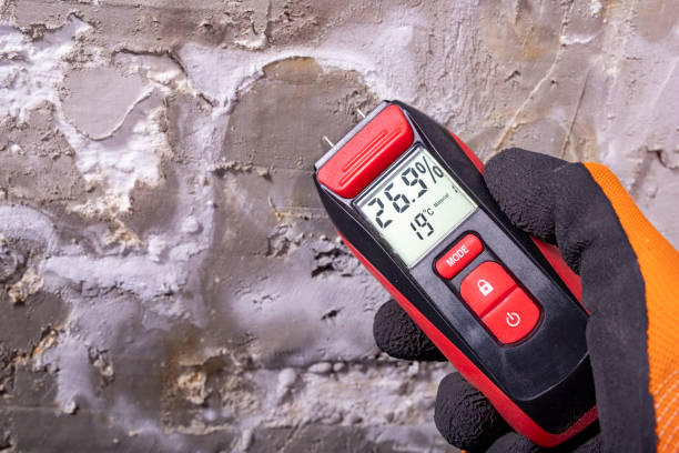 Best Affordable Mold Removal  in Spanish Springs, NV