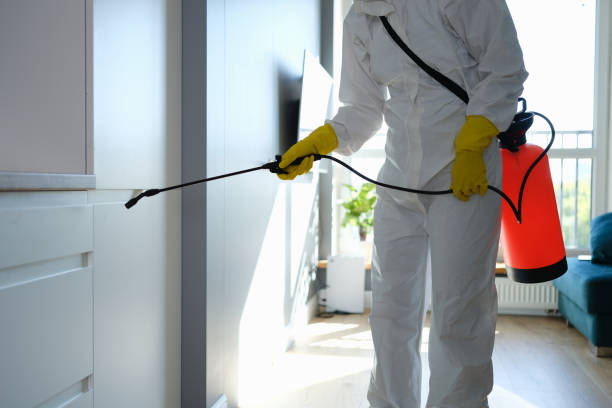 Best Mold Damage Repair  in Spanish Springs, NV