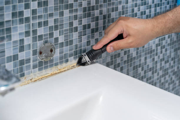 Best Mold Removal Company Near Me  in Spanish Springs, NV