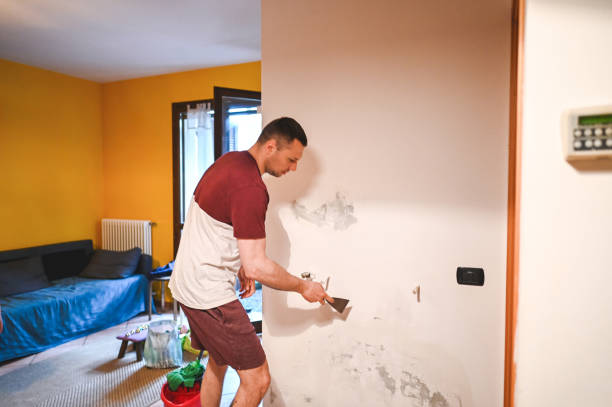 Best Local Mold Removal Service  in Spanish Springs, NV